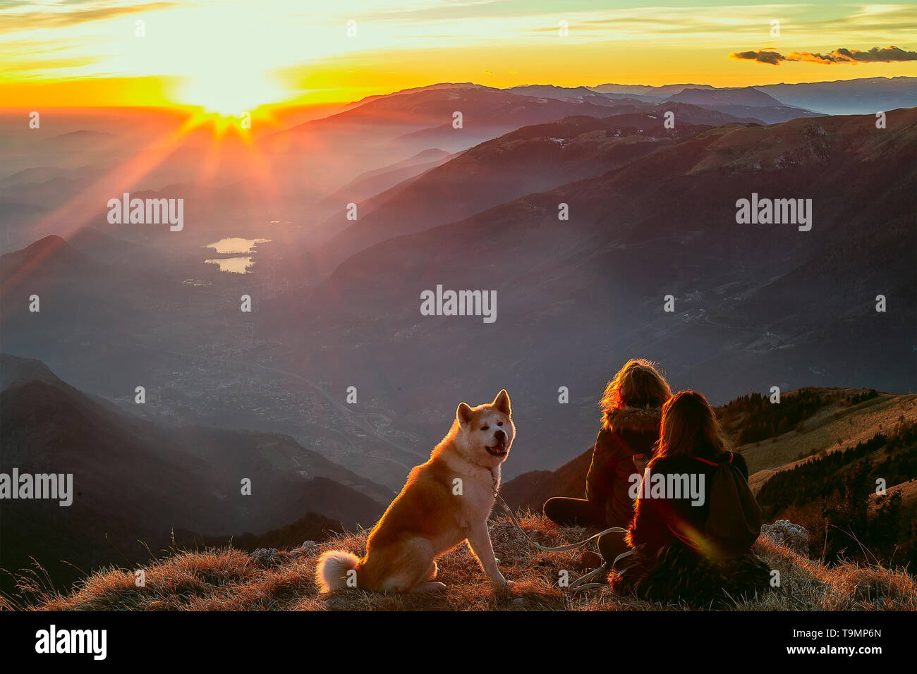 Youngs females sitting with siberian husky dog in mountains Stock Photo