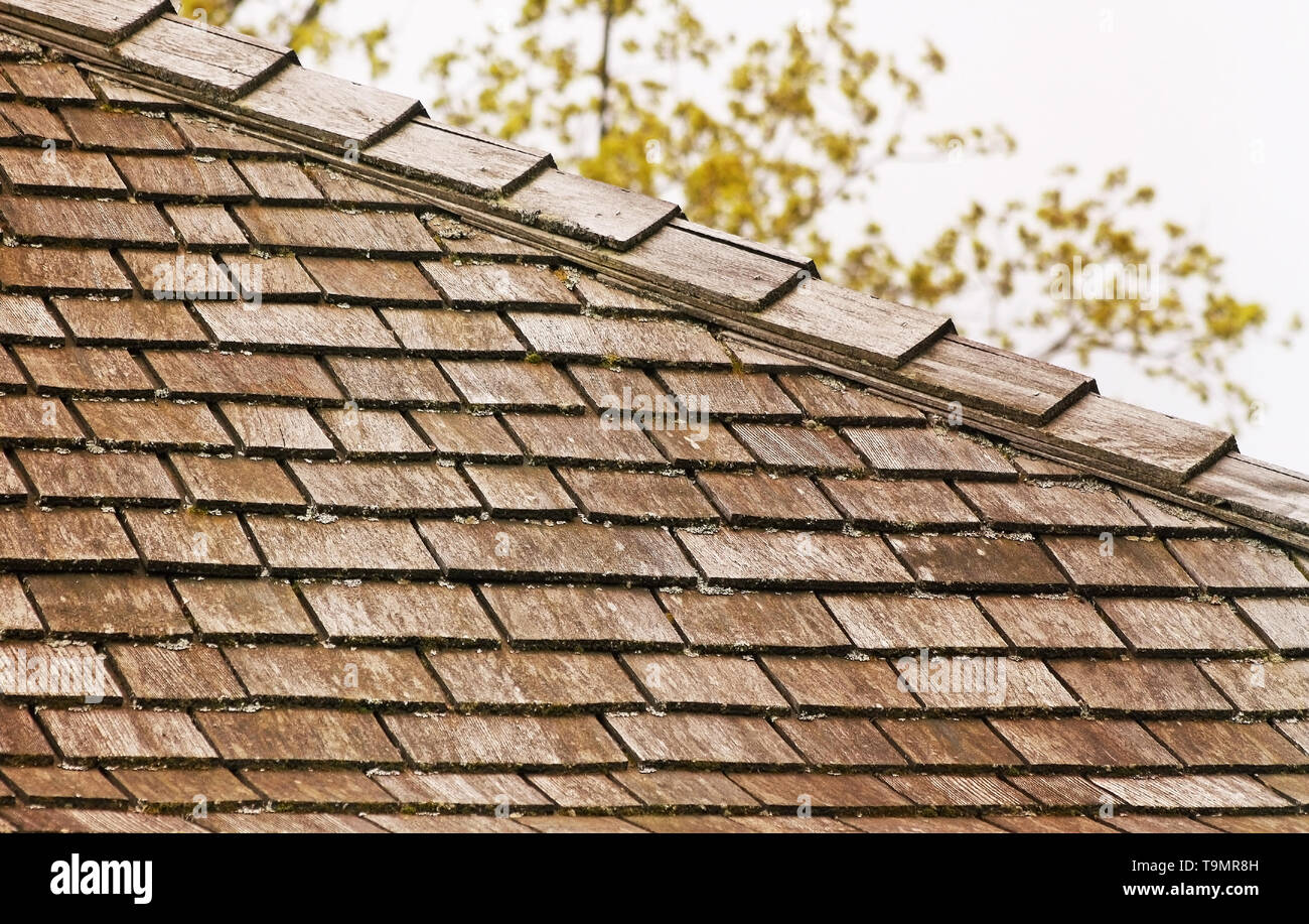 Cedar shingle roof with some tree debris and small amounts of moss Stock Photo