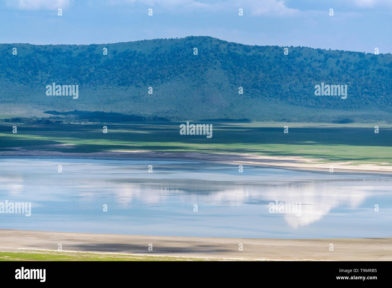 Lake Magadi with reflections and (tiny) flamingos, Ngorongoro crater, Tanzania Stock Photo
