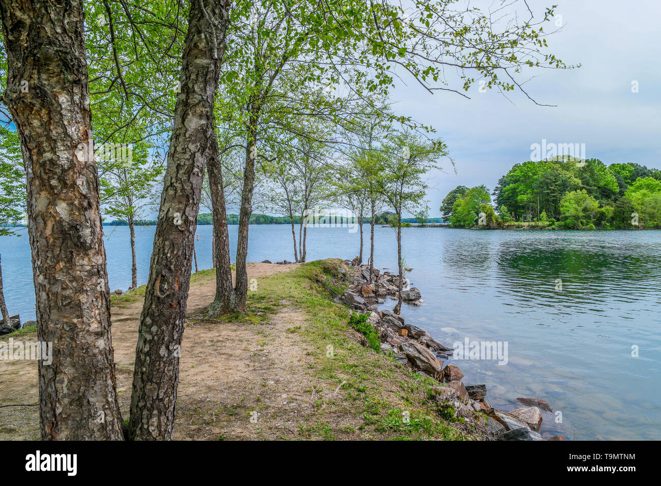 Peninsula with trees surrounded by a rocky shore sticking out into Lake Lanier, Georgia Stock Photo