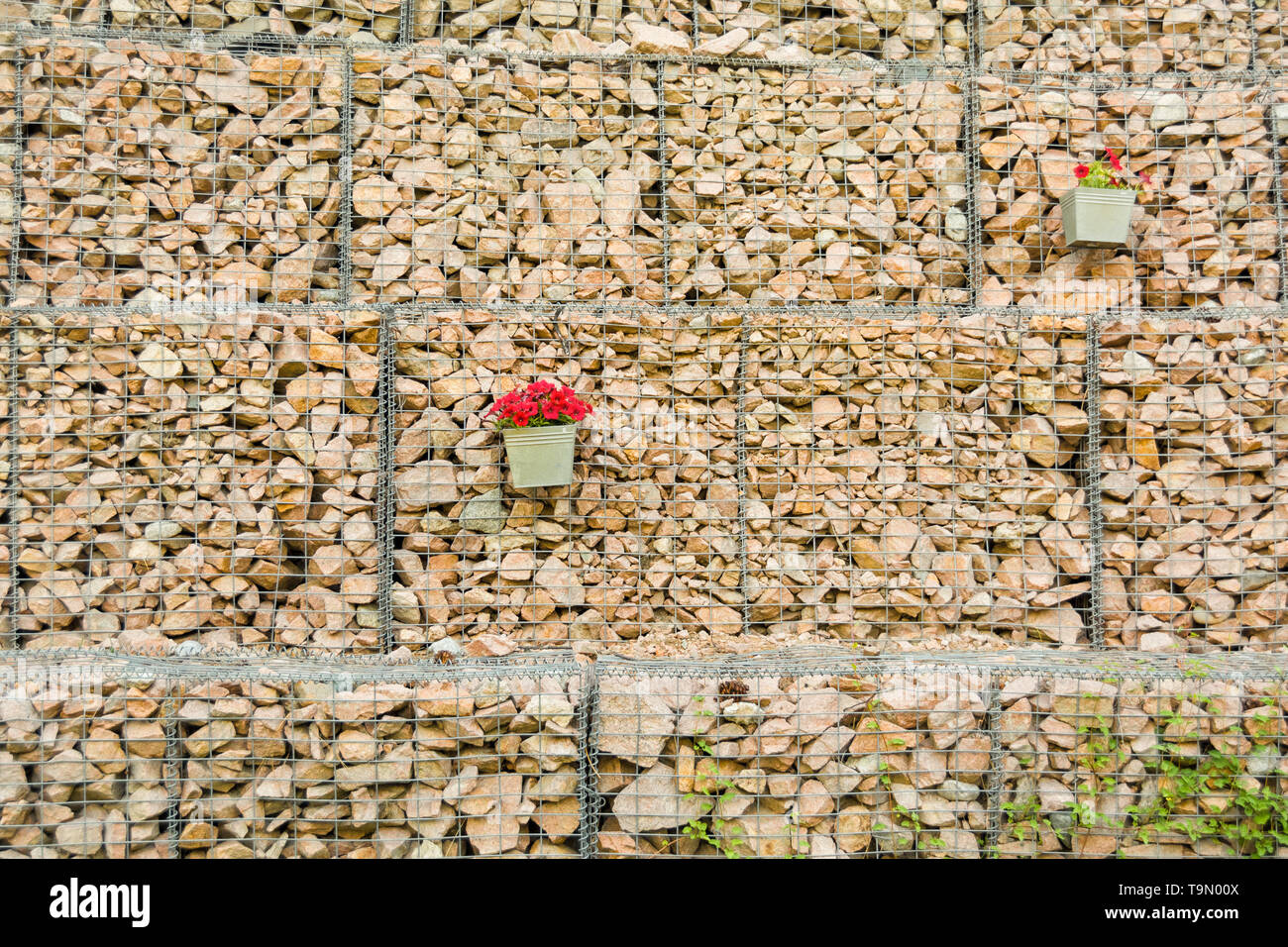 Gabion fence wall from steel mesh with stones decorated flowers. Stock Photo