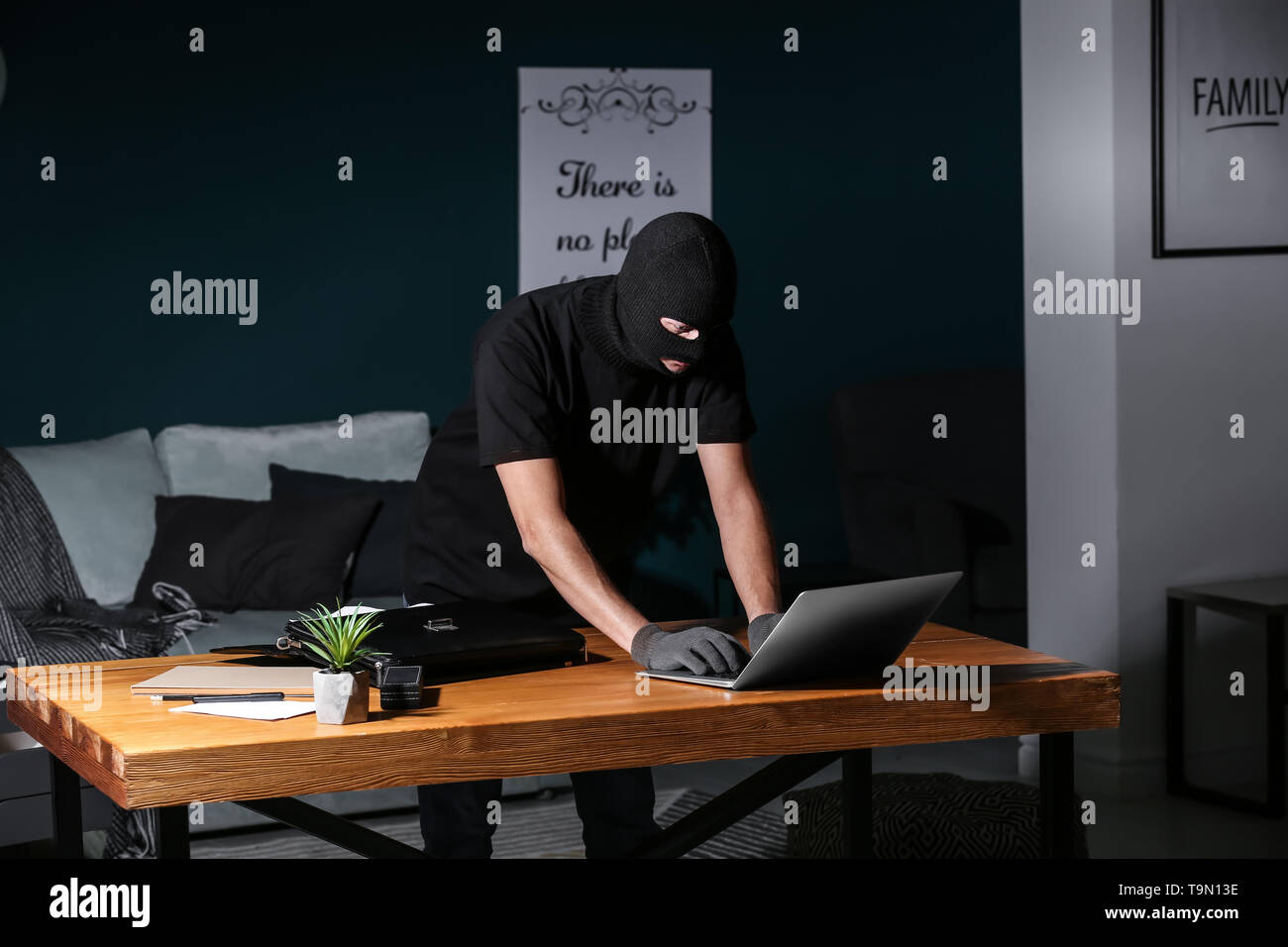 Male thief using laptop indoors Stock Photo - Alamy