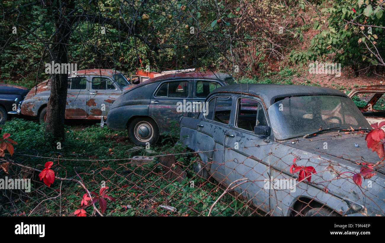 Scrap cars woods hi-res stock photography and images - Alamy