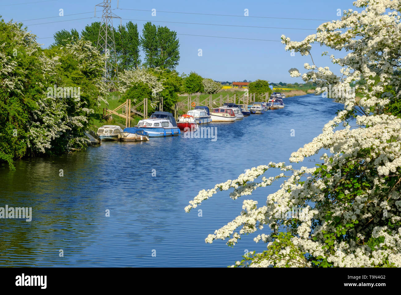 River blossom england hi-res stock photography and images - Alamy
