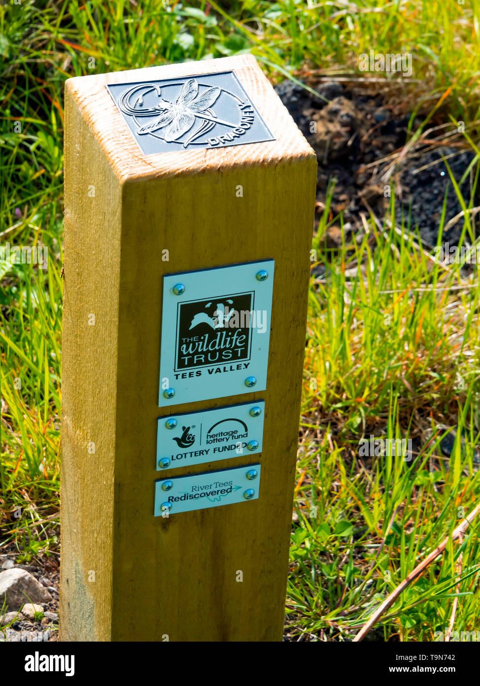 A marker post with information where butterflies may be found   Coatham Marsh Nature Reserve managed by the Cleveland Wildlife Trust in Spring Stock Photo