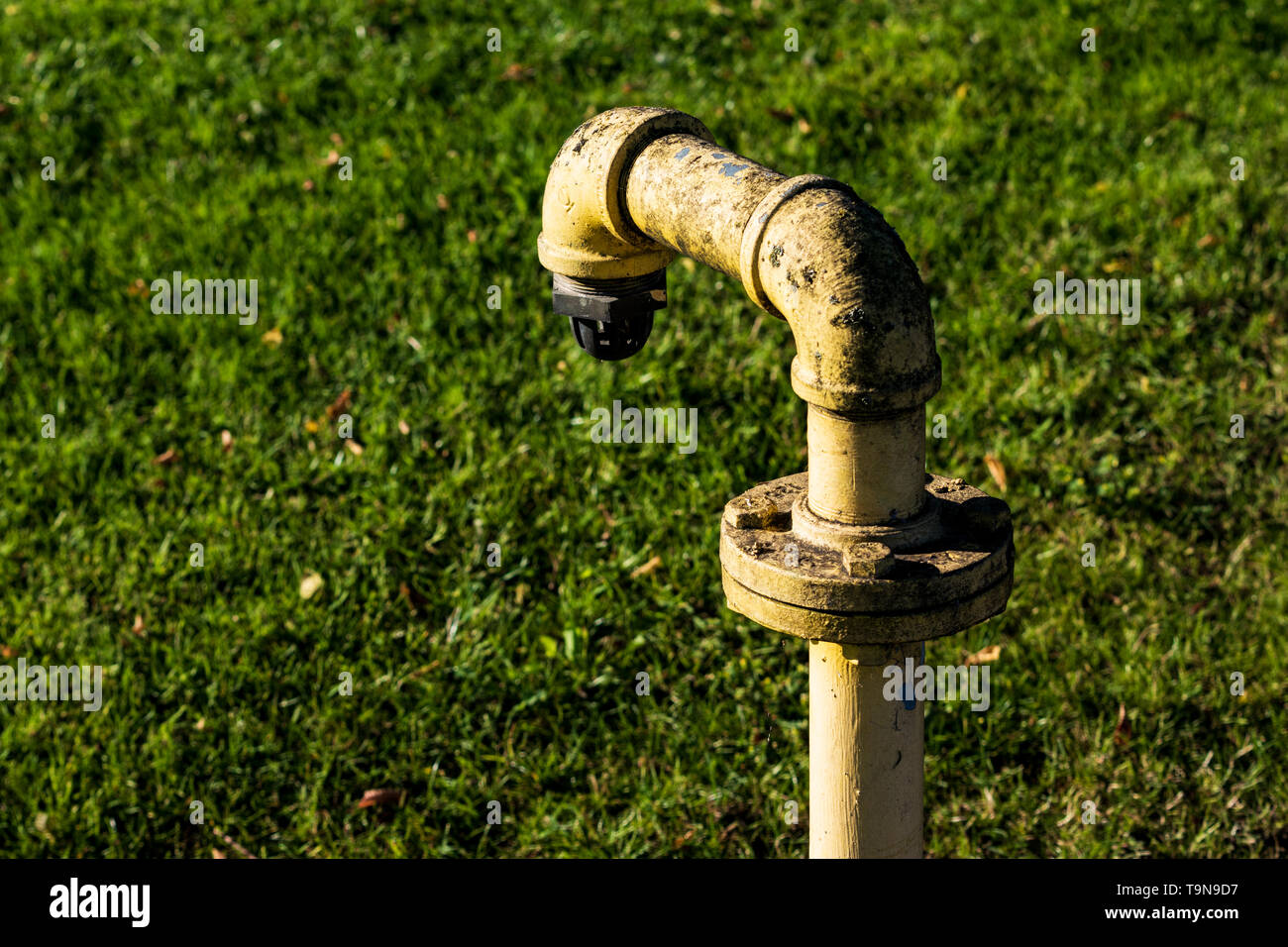 Yellow pipe sticking out of the ground over grass Stock Photo Alamy