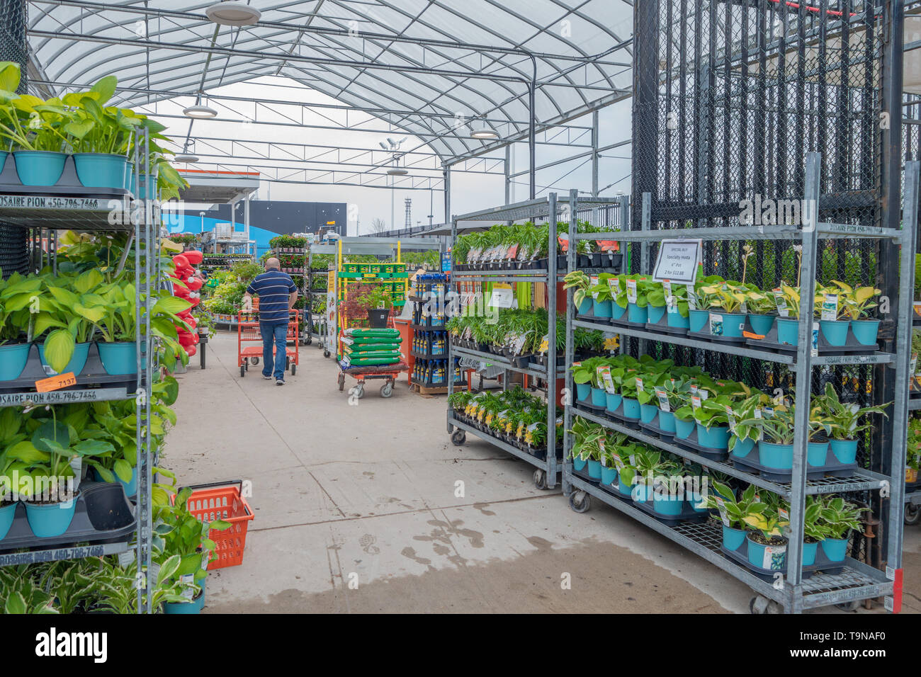 Garden centre displays hi-res stock photography and images - Alamy