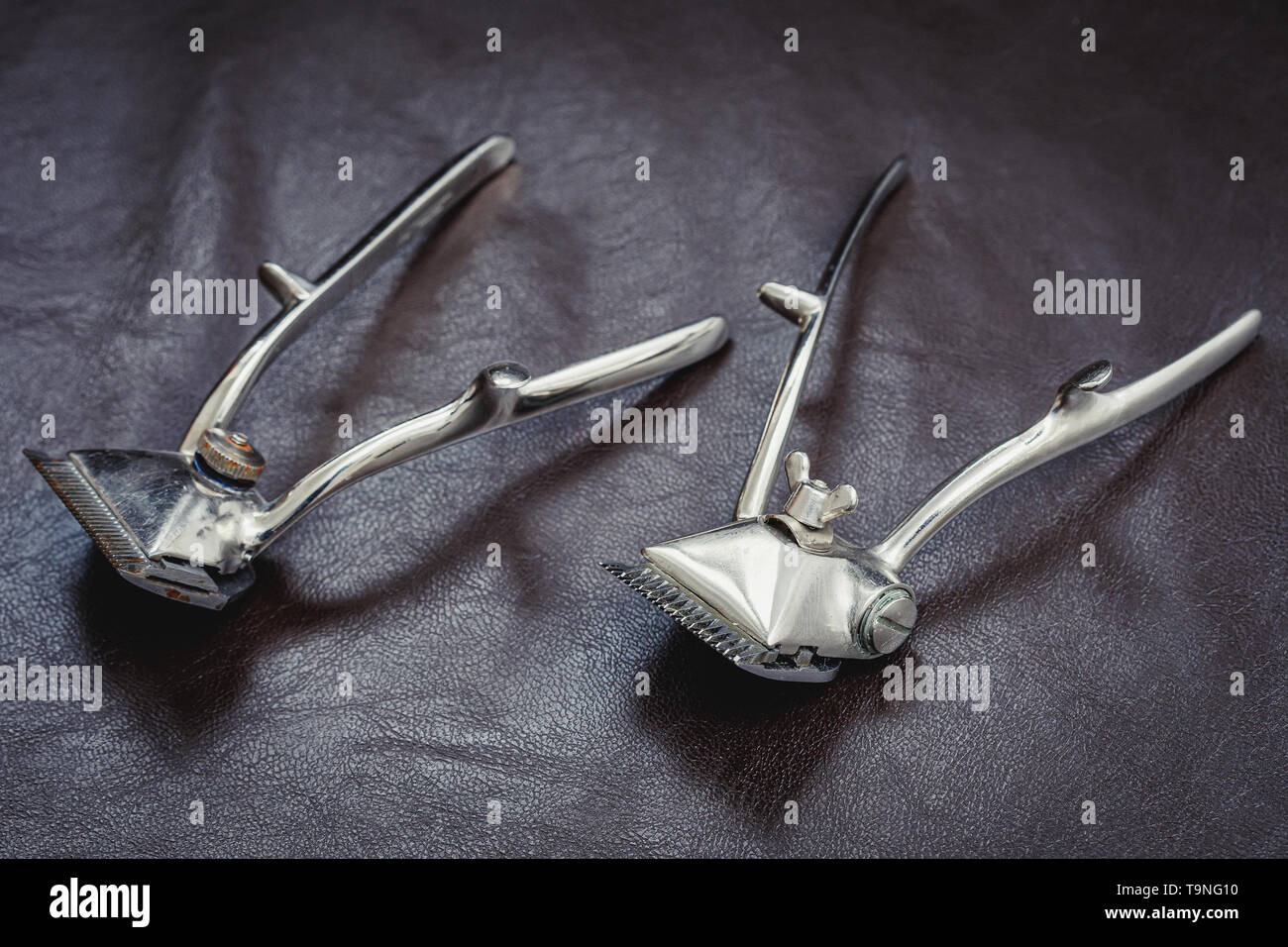 Old vintage manual hair clippers on dark background Stock Photo Alamy