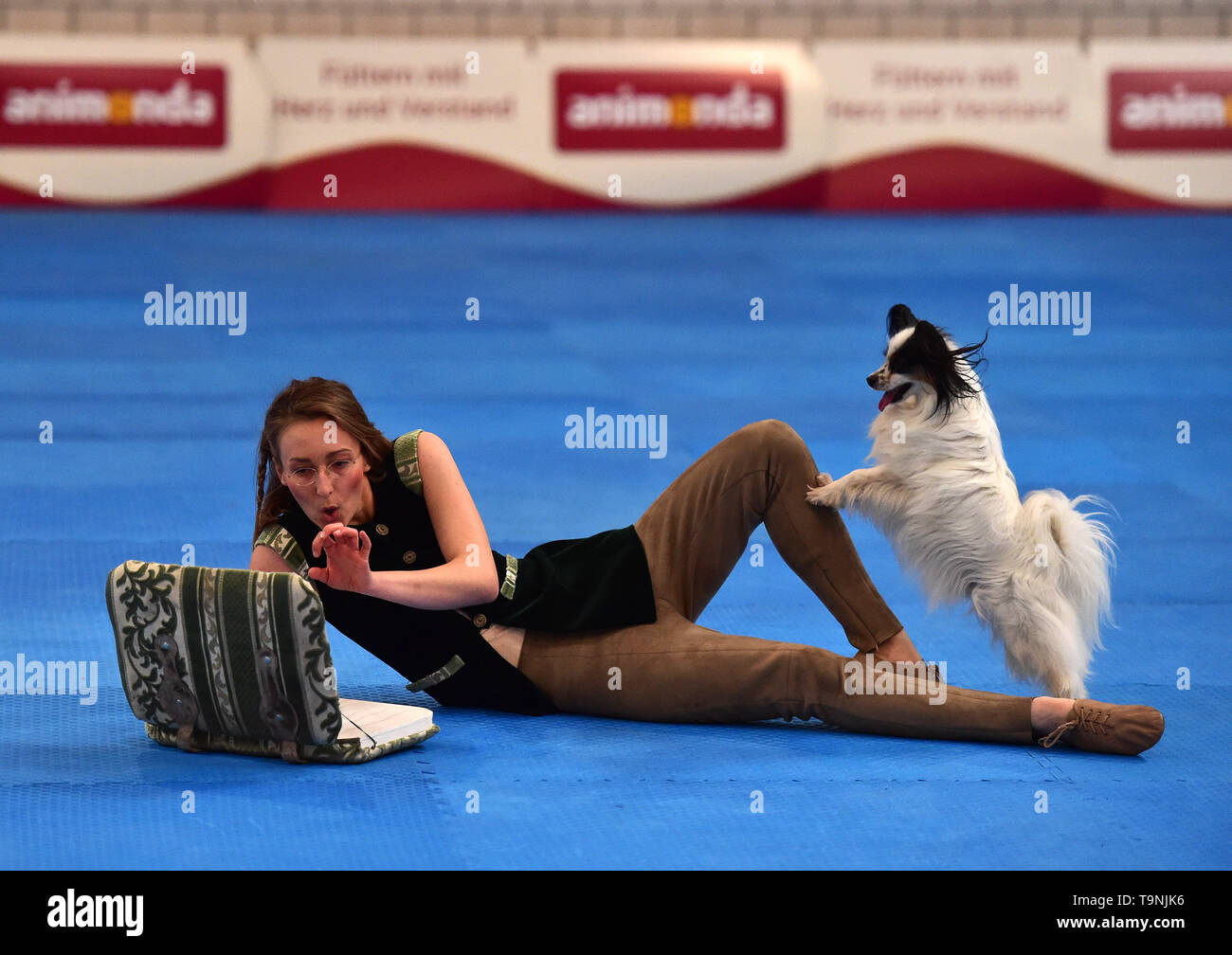 Dortmund, Germany. 19th May, 2019. Cora Czermak from Germany attends the 'Dog Dancing' competition with her dog Steps, a Papillon, during the Hund and Katz exhibition in Dortmund, Germany, on May 19, 2019. The three-day event hosted by German Kennel Club, presents dogs and cats of more than 200 breeds from around the world. Credit: Lu Yang/Xinhua/Alamy Live News Stock Photo