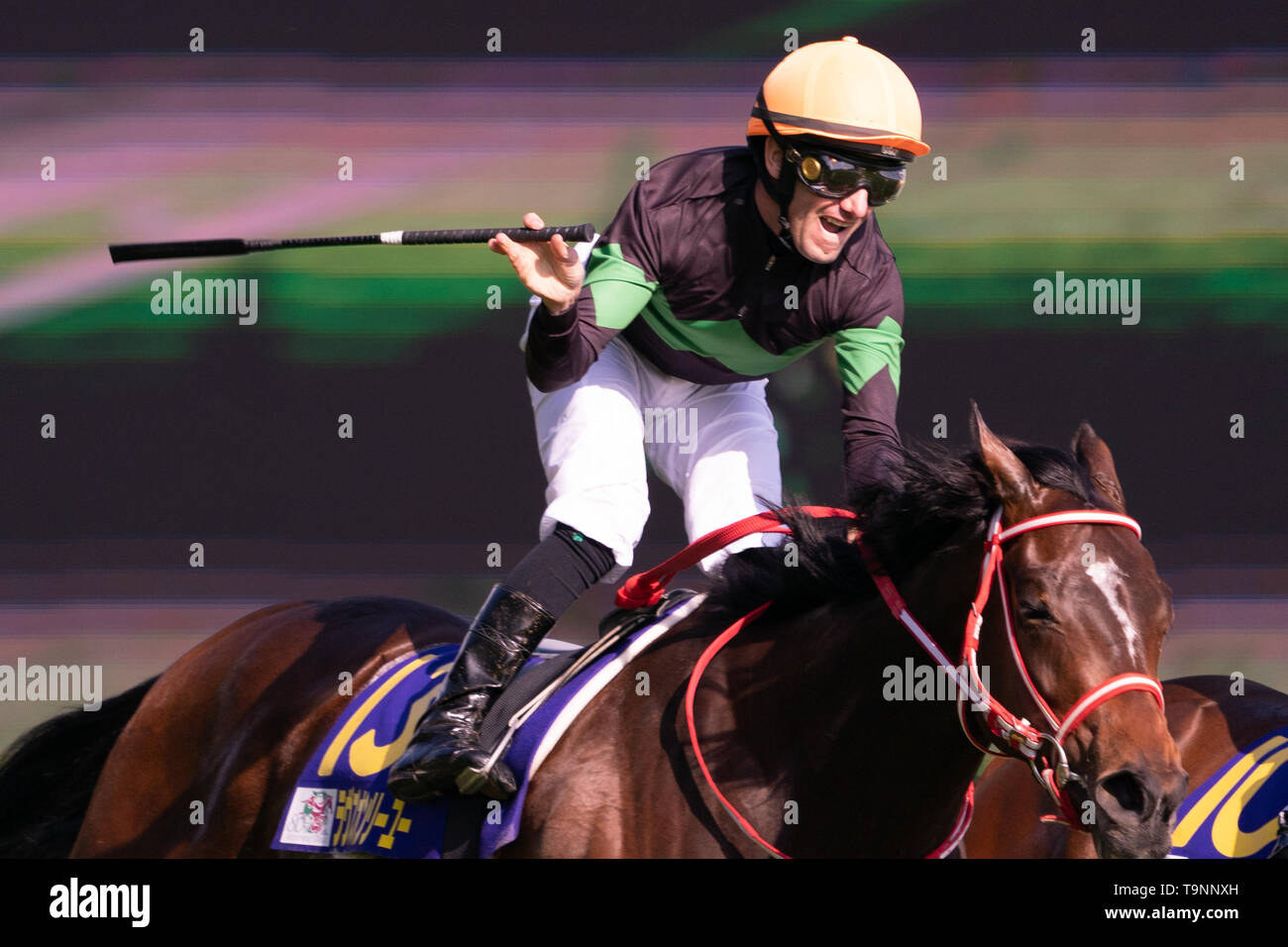 Mirco Demuro riding Loves Only You (owner DMM Dream Club) wins the 80th Japanese Oaks (G1 2400m) with a new race record of 2;28, 08 at Tokyo Racecourse, Tokyo, Japan on 19 May 2019. Credit: Motoo Naka/AFLO/Alamy Live News Stock Photo