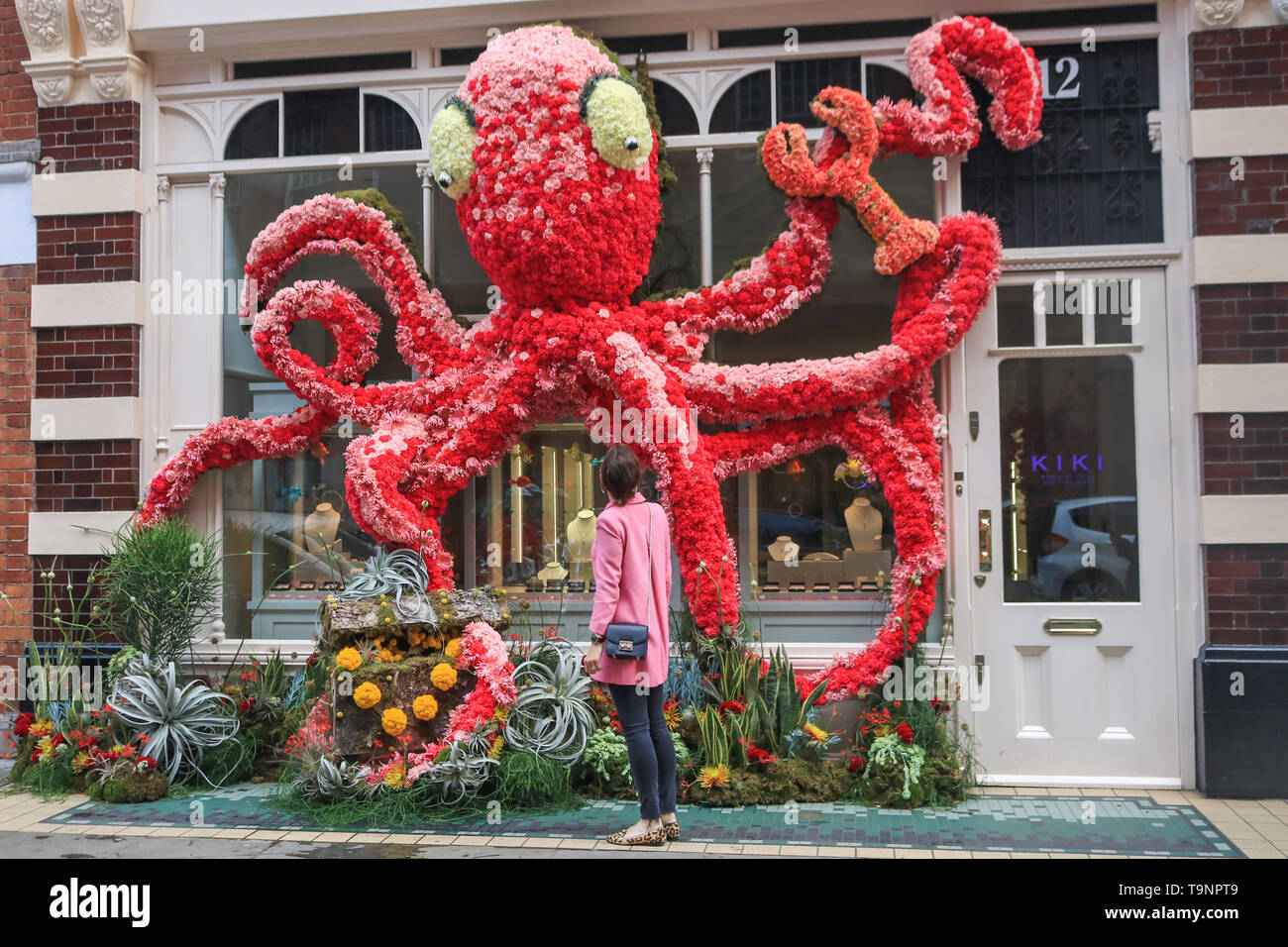 London, UK. 20th May, 2019. A pedestrian admires shop decorated with a  giant octuptus made of flowers as shops retailers in fashionable Chelsea  decorate their store fronts with creative floral designs and, image size:1300x956