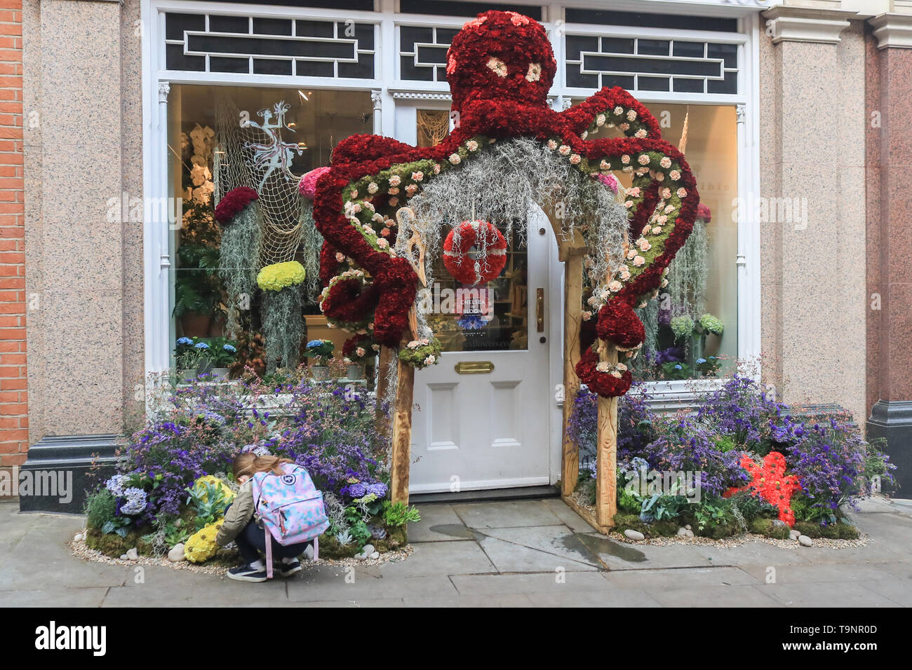 London, UK. 20th May, 2019. A giant octopus made of flowers displayed  outside a shop as shops as retailers in fashionable Chelsea decorate their  store fronts with creative floral designs and displays, image size:1300x956
