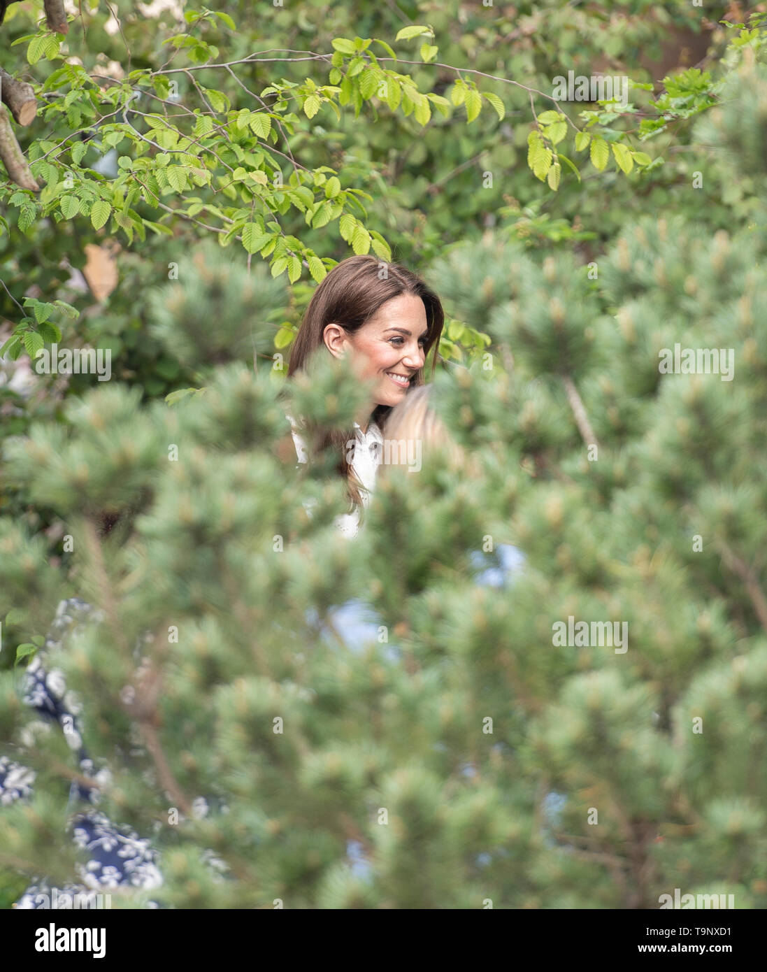 Royal Hospital Chelsea, London, UK. 20th May 2019. HRH The Duchess of Cambridge views her garden, designed with Andree Davies and Adam White at The RHS Back to Nature Garden at the Chelsea Flower Show 2019. Credit: Malcolm Park/Alamy Live News. Stock Photo