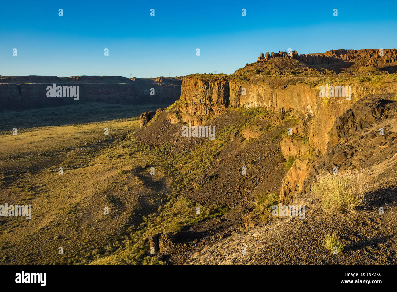 Basalt Cliffs along the edge of Frenchman Coulee, some of the channeled scablands, near Vantage, Washington State, USA Stock Photo