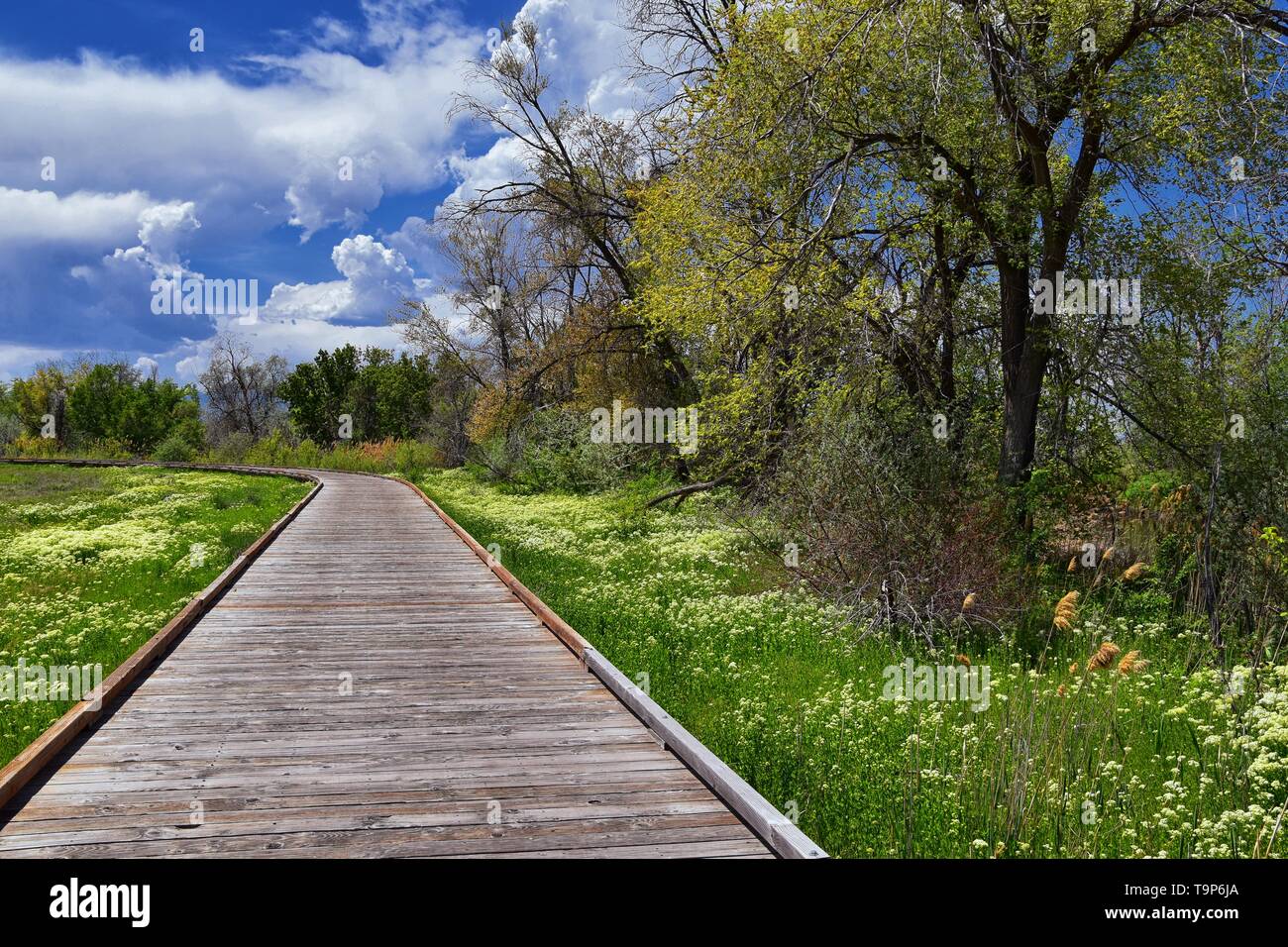 Jordan River Parkway Trail, Redwood Trailhead bordering the Legacy