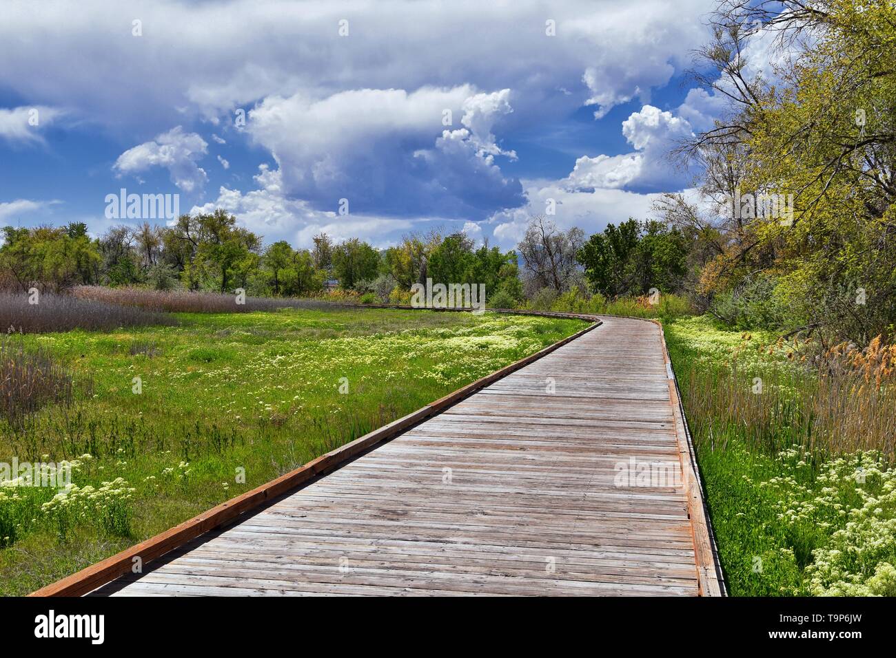 Jordan River Parkway Trail, Redwood Trailhead bordering the Legacy