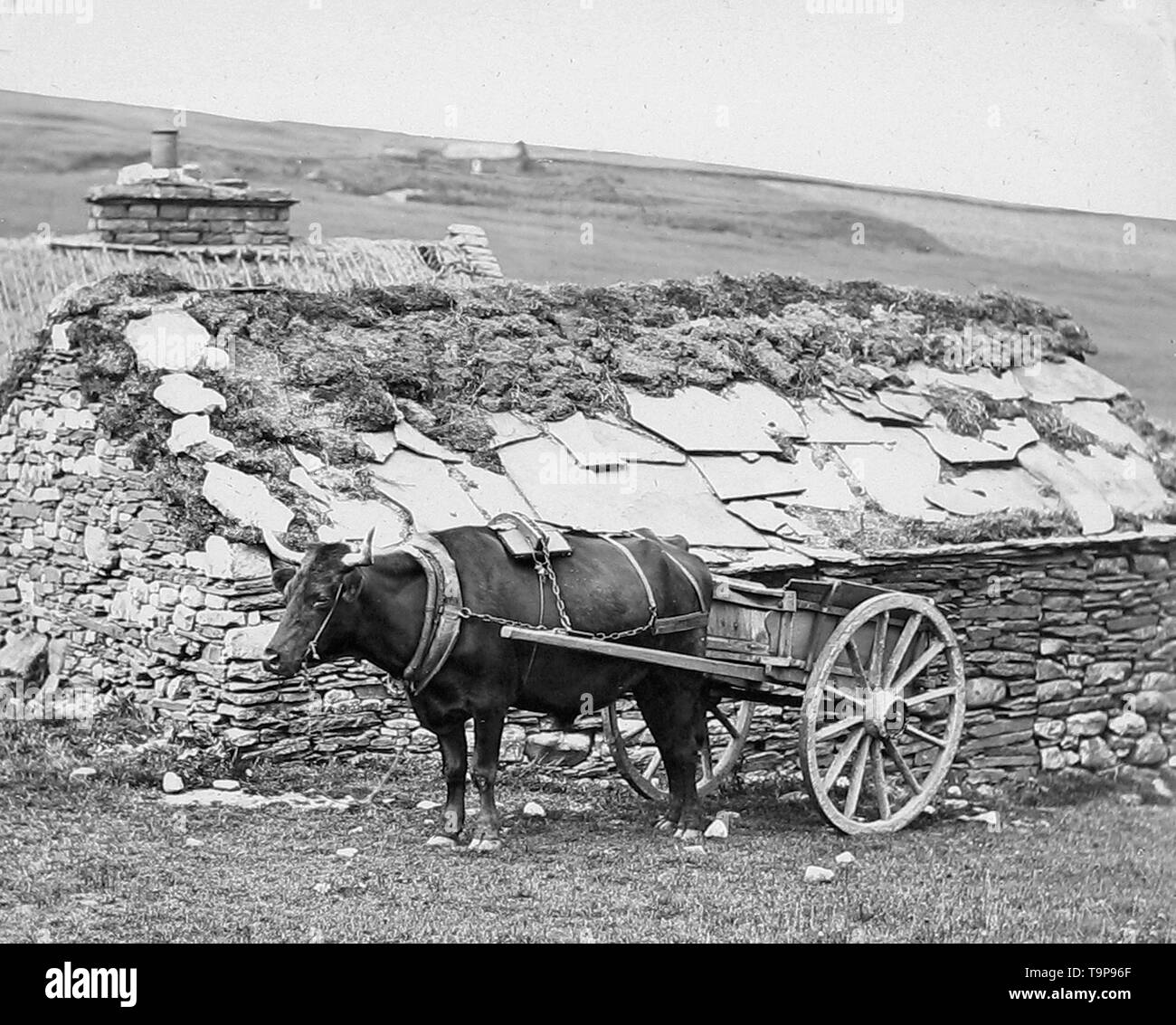 Highland croft hi-res stock photography and images - Alamy