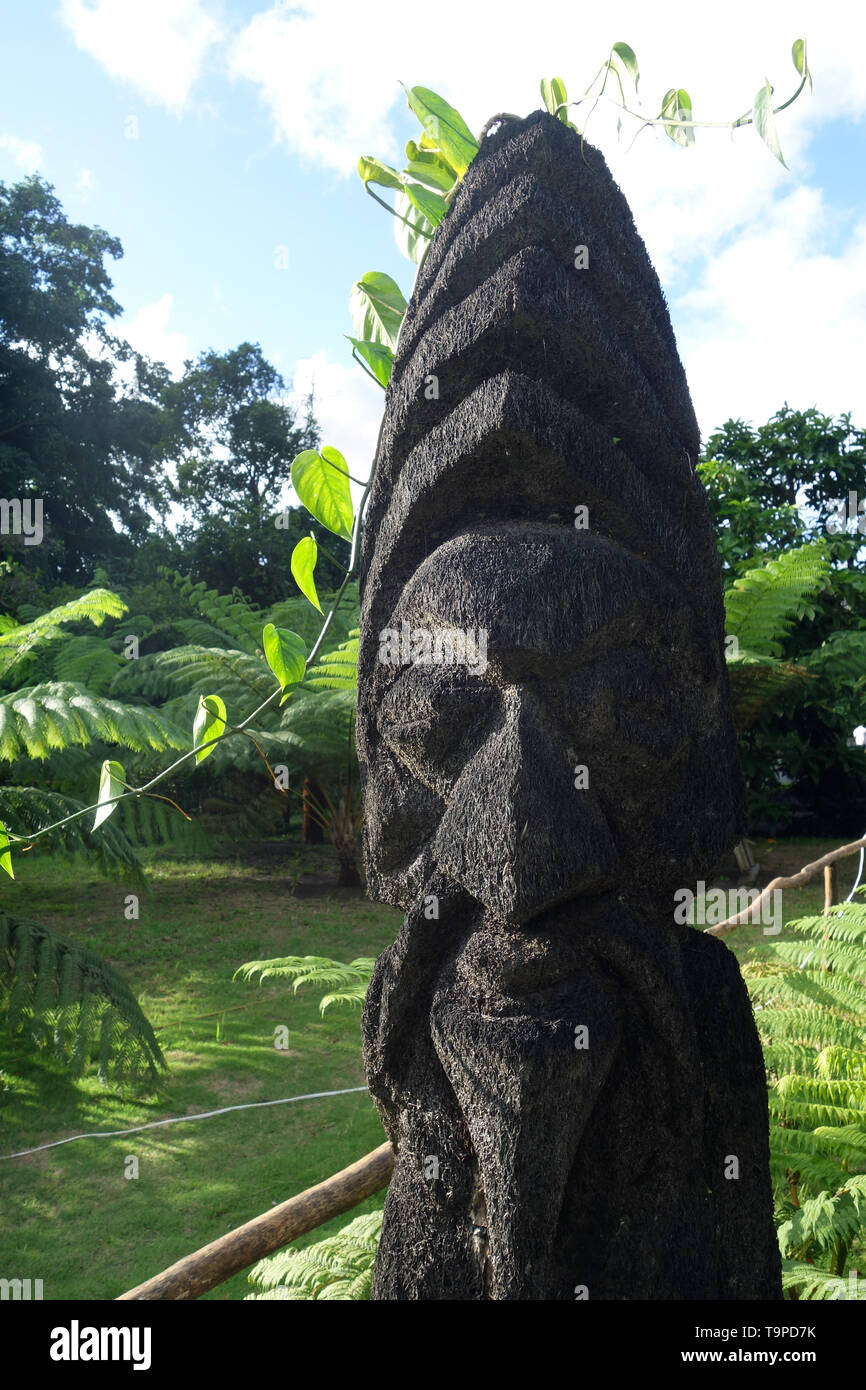 Tiki carved from treefern trunk, Tanna, Vanuatu. No PR Stock Photo