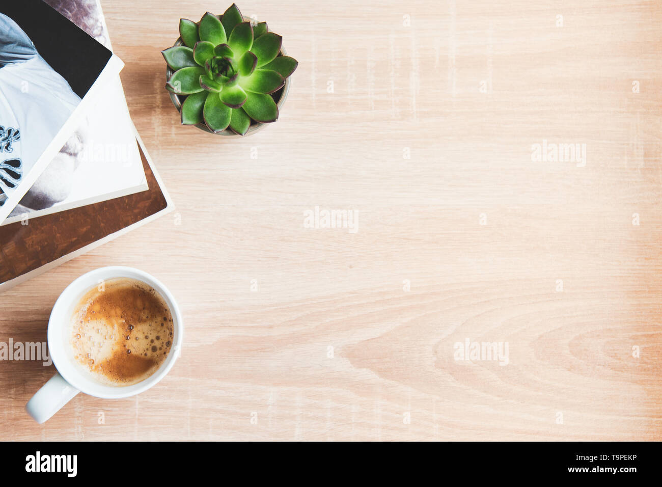 Top view of  books and magazines, cup of coffee and succulent plants over wooden background. Copy space. Concept of recreational time and space. Stock Photo