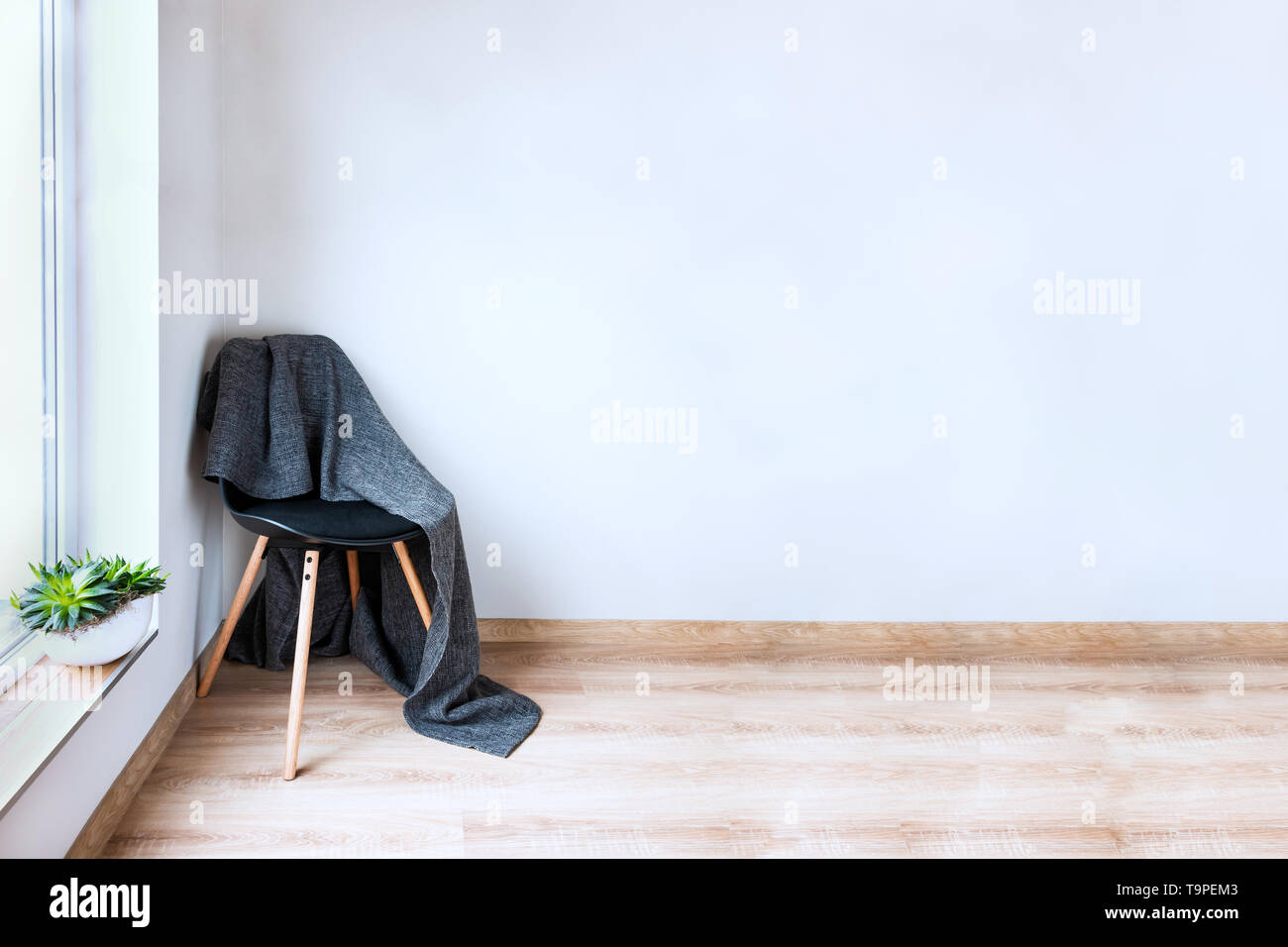 Contemporary home interior. Black chair covered with woolen gray blanket in front of an empty white wall. Succulent plant on the window. Stock Photo