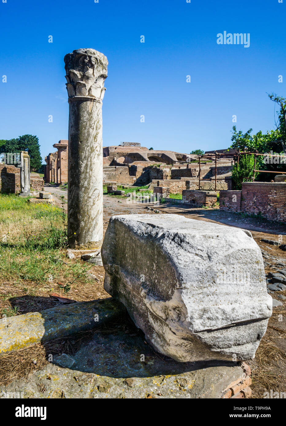 Corinthian column in the Sacred Area of the Republican Temples at the archeological site of the Roman settlement of Ostia Antica, the ancient harbour  Stock Photo