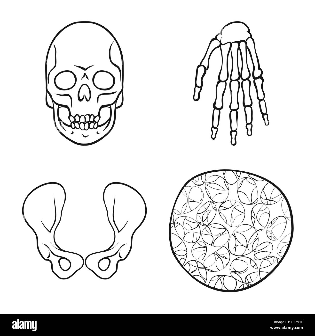 Skull Wrist Hip Osteoporosis Death Hand Joint Cell Horror Arm Surgery Connective Tattoo Carpus Healthy Cartilage Head Health Femur Eye Xray Calcium Structure Hell Finger Joints Musculoskeletal Teeth Injury Medicine Clinic Biology Medical Bone Skeleton