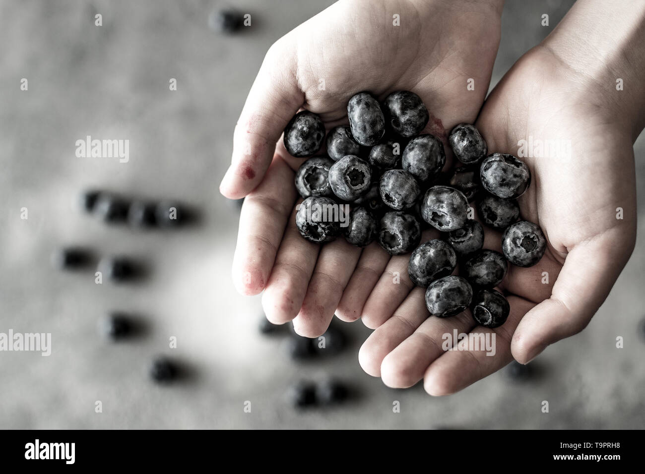 Organic Blueberries in Female Hands on Dark Background. Antioxidant Superfood Healthy Eating Concept. Stock Photo