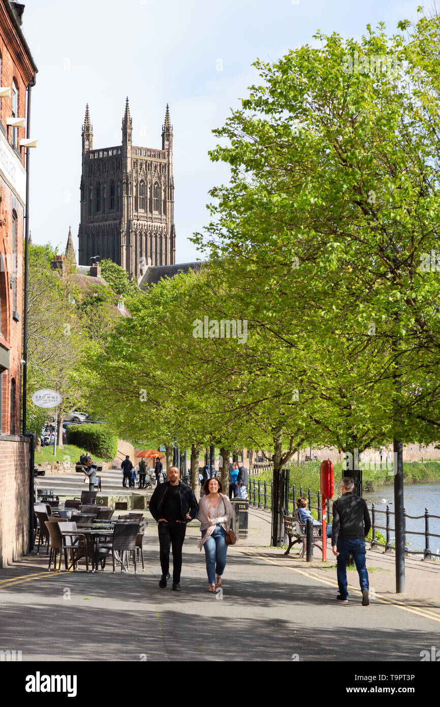Worcester UK - people walking along South Quay beside the river Severn and Worcester Cathedral in spring,  Worcester Worcestershire England UK Stock Photo