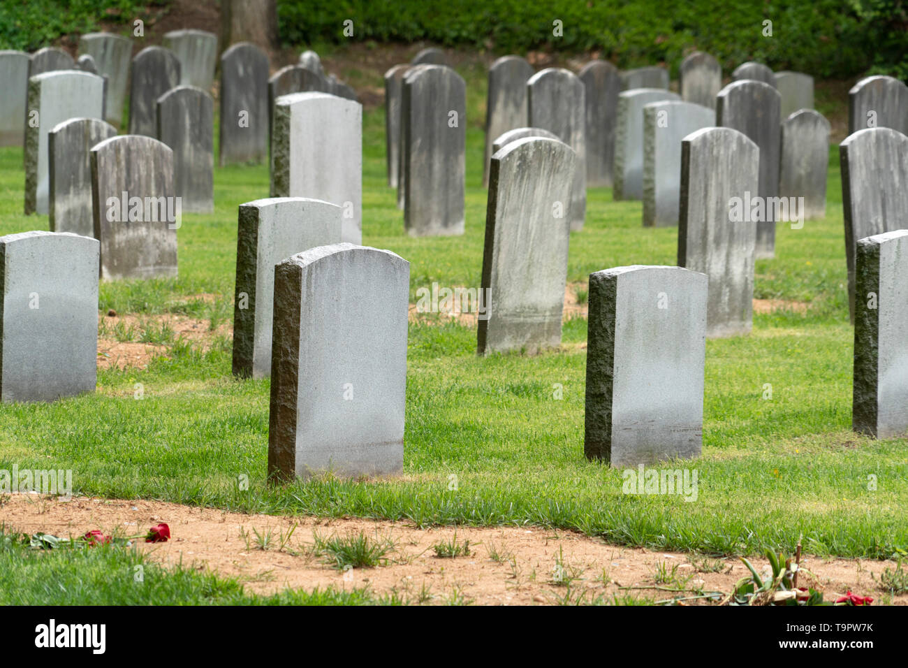 White cross grave stones with grass hires stock photography and images