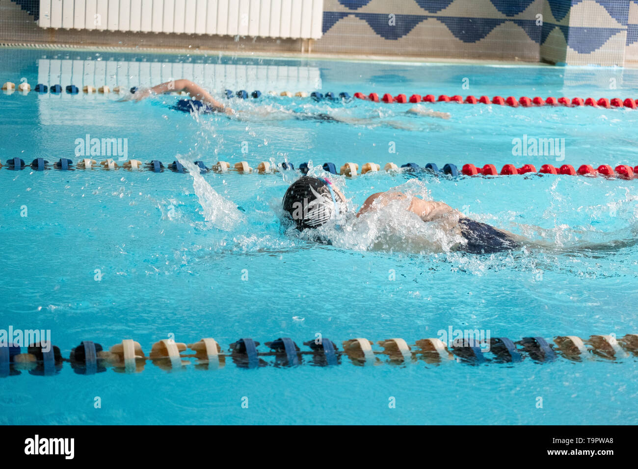 Children swimming freestyle. Indoor swimming pool with clear blue water