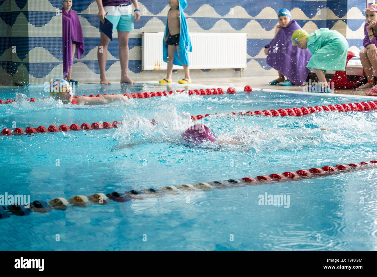 Children swimming freestyle. Indoor swimming pool with clear blue water