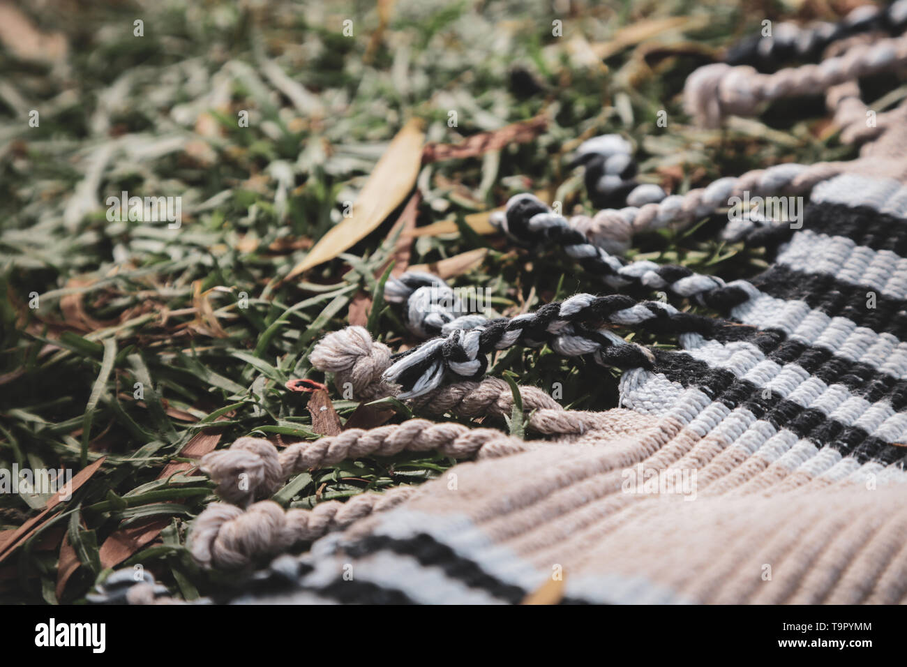 edge of picnic rug on grass Australian summer picnic Stock Photo Alamy