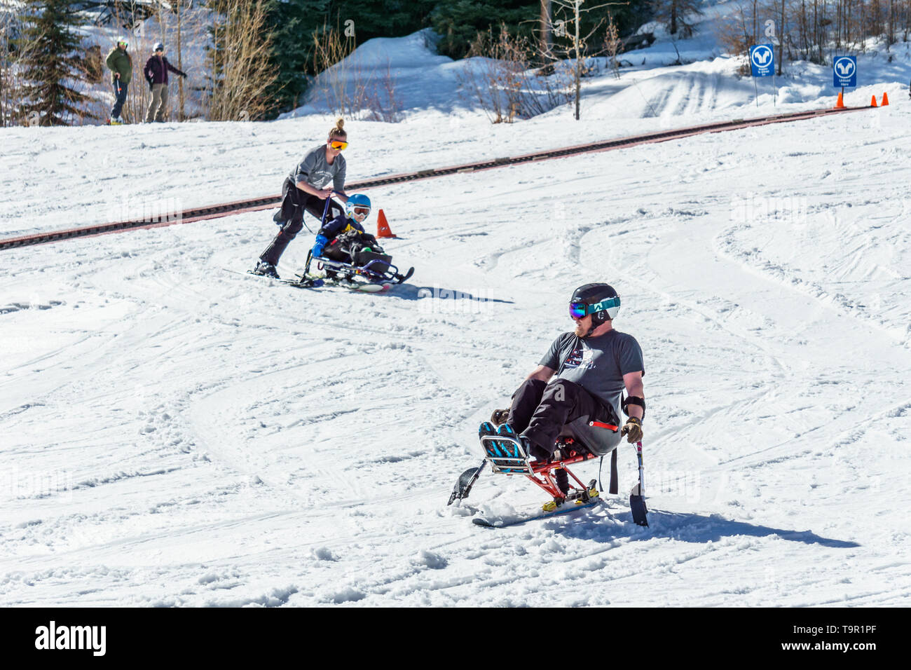 Mono ski hi-res stock photography and images - Alamy