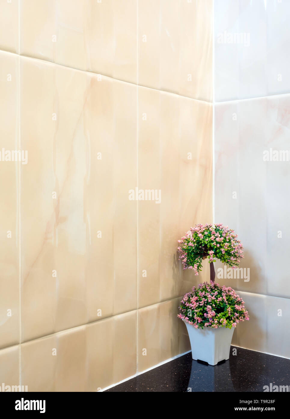 Toilet Vase High Resolution Stock Photography And Images Alamy