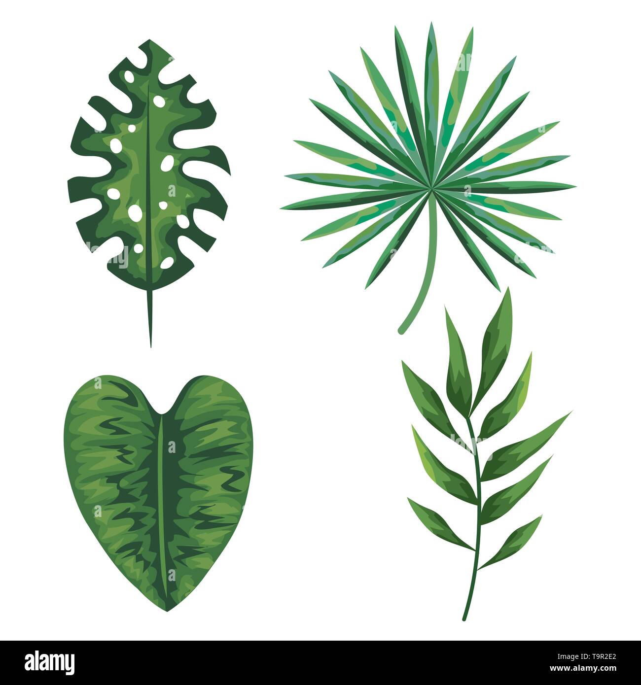 set of tropical leaves plants over white background Stock Vector Image ...