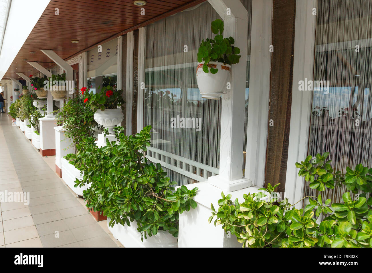 Potted Plants Decorating The Facade Of The Building Plant Growing