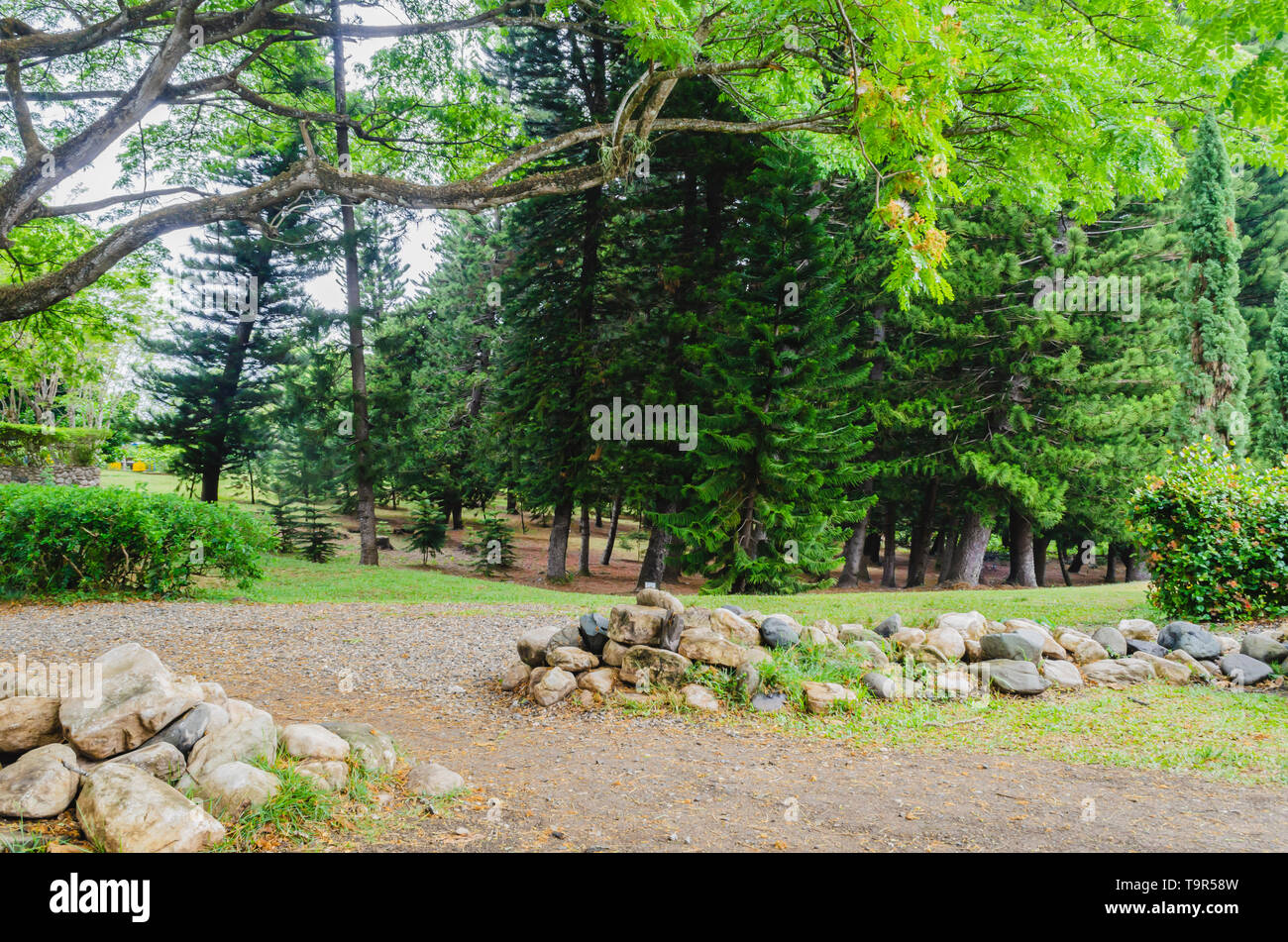 pile of rocks with forest background crossed by rural road Stock Photo ...