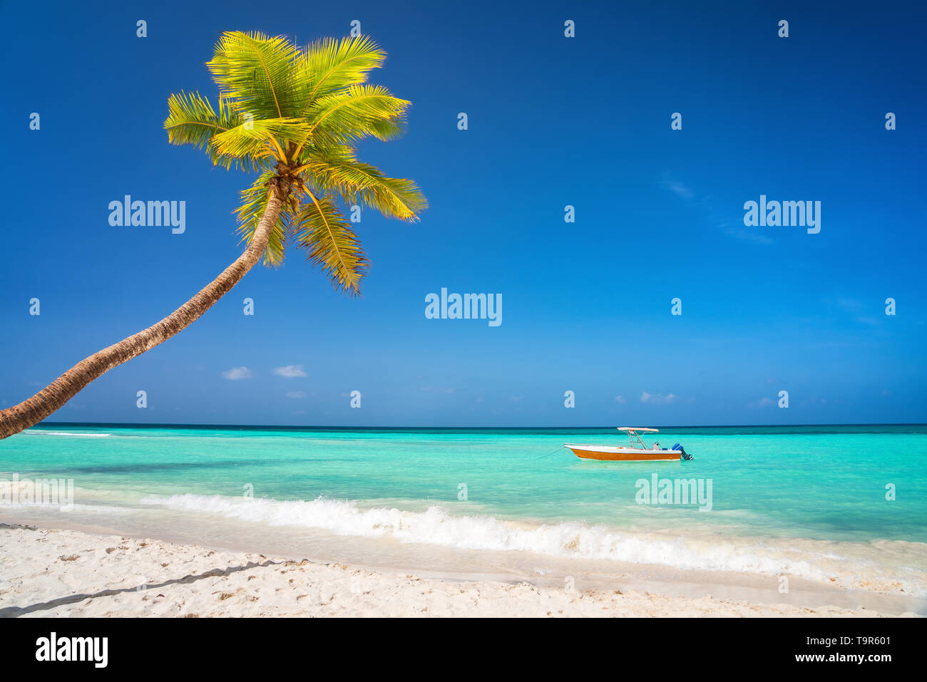 Sunny tropical beach in dominican republic Stock Photo