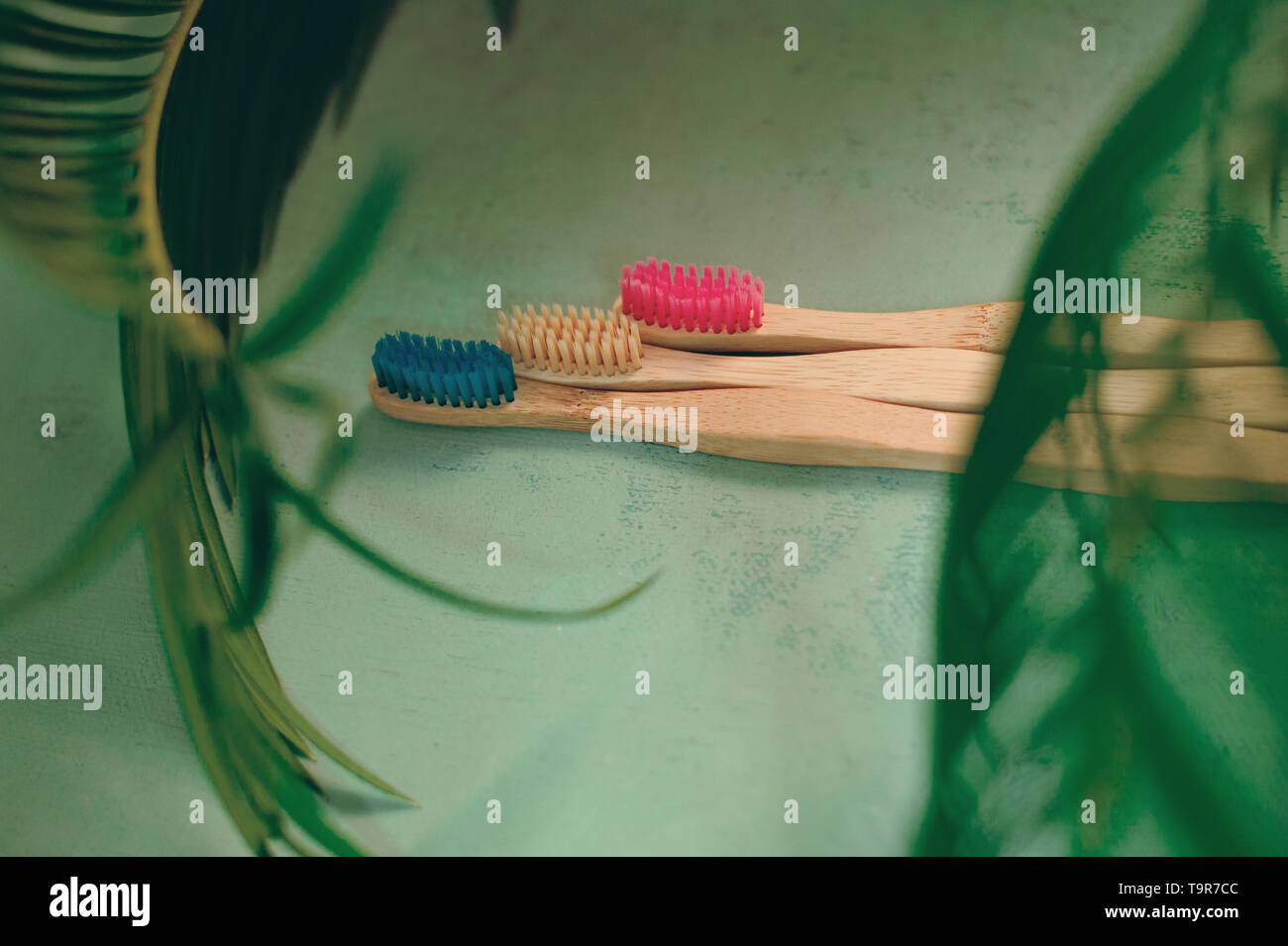 4 bamboo toothbrushes over green background and green palm leaf Stock Photo