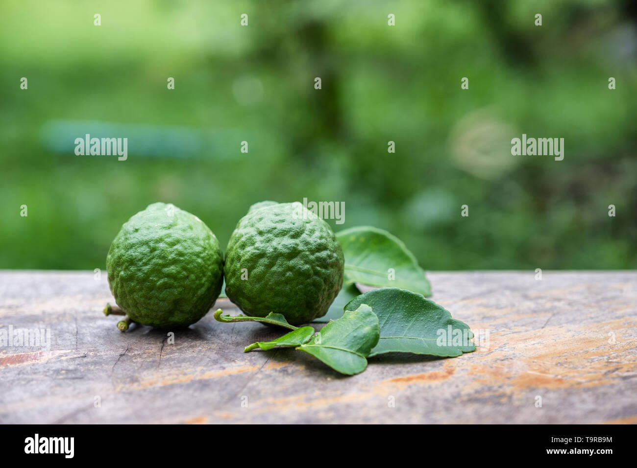 Bergamot fruit with leaf from garden on wooden table Stock Photo
