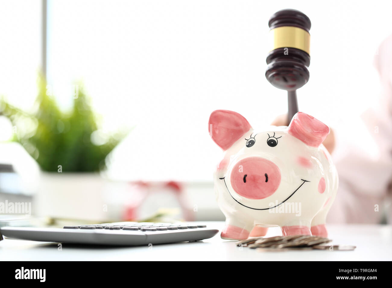 Gavel threaten to funny piggybank in time of big financial difficulties Stock Photo