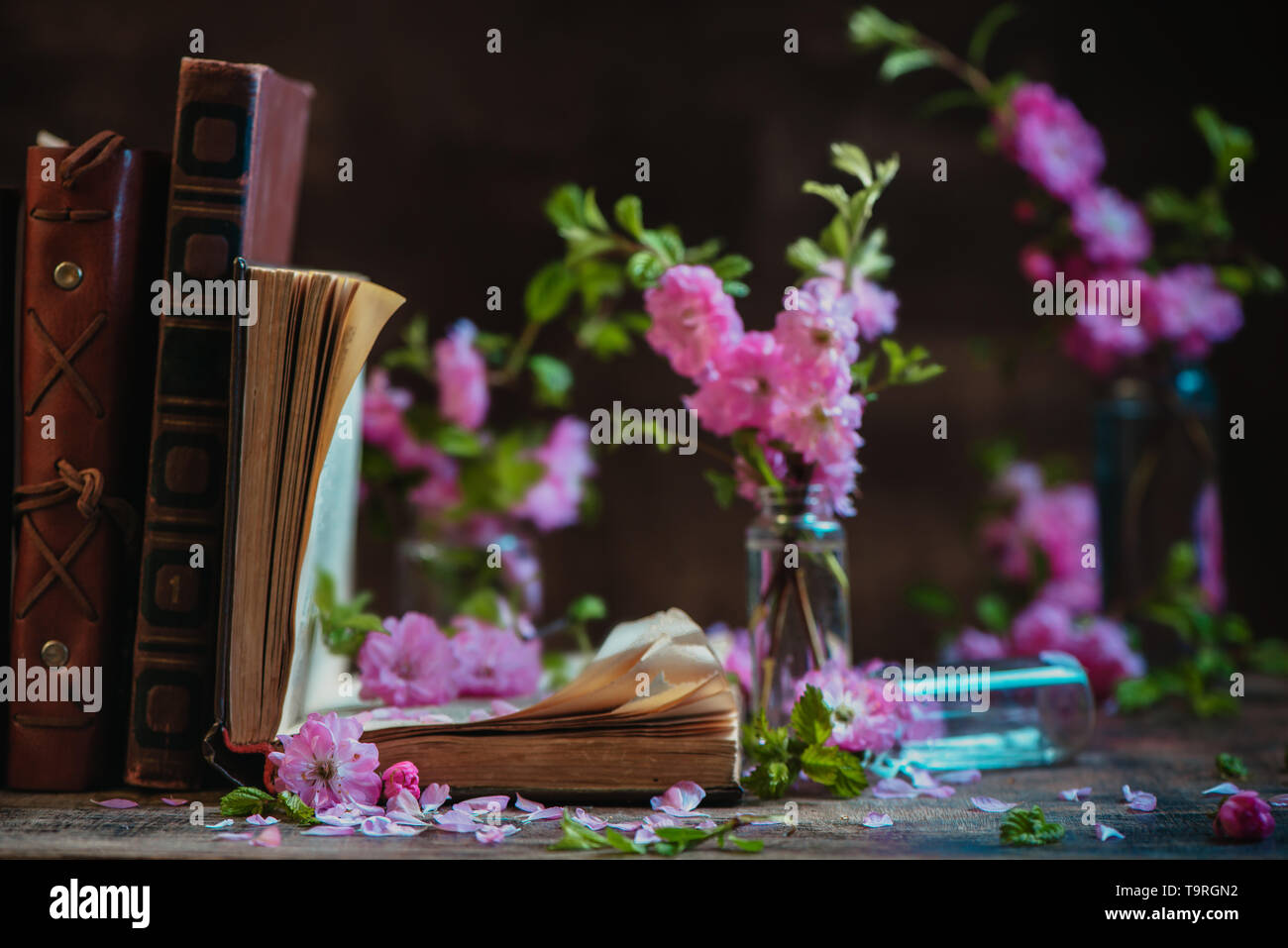 An open book with cut almond flowers. Spring reader table with copy ...