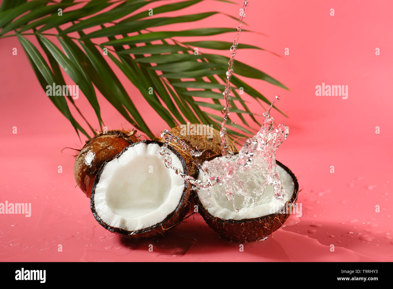 Ripe coconuts and splash of water on color background Stock Photo