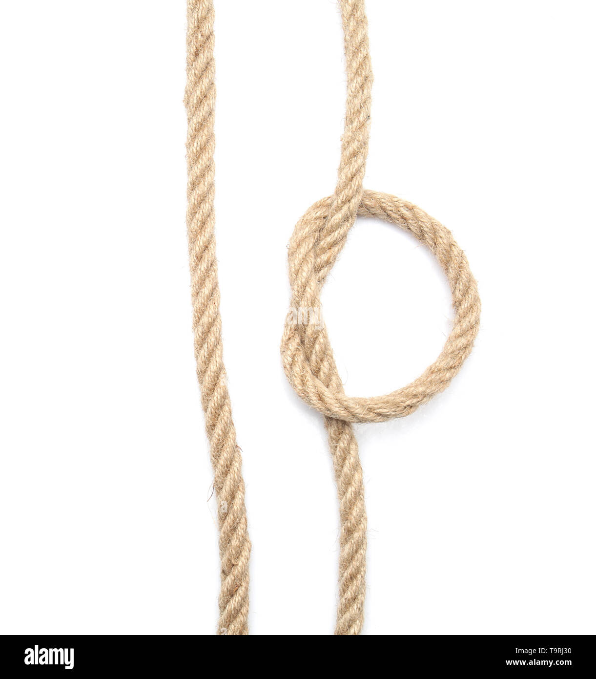 Ropes with loop on white background Stock Photo - Alamy