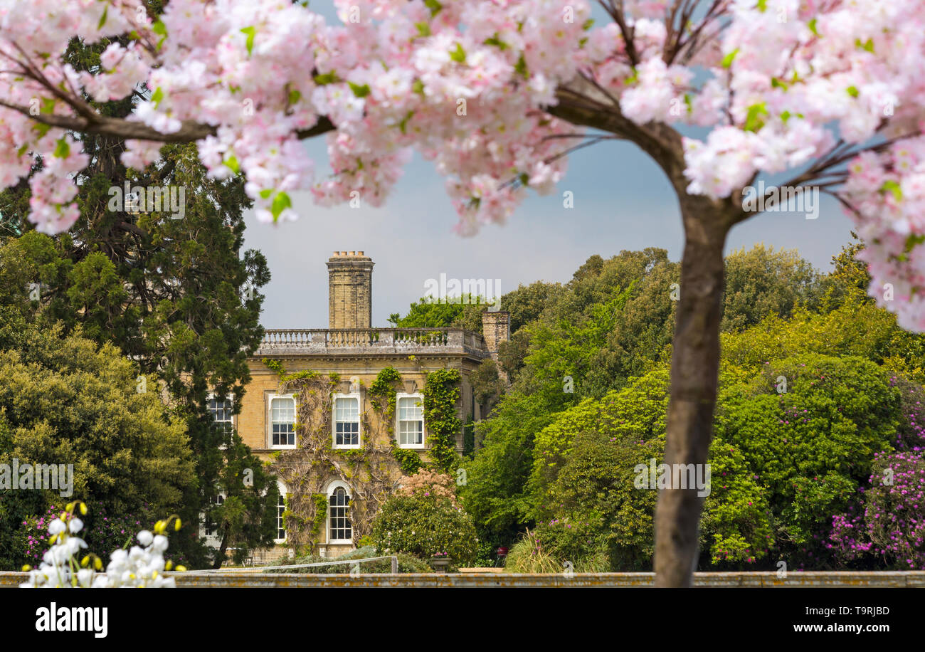 Pylewell House framed by blossom tree, Pylewell Park Estate, Lymington, New Forest, Hampshire, UK in May Stock Photo