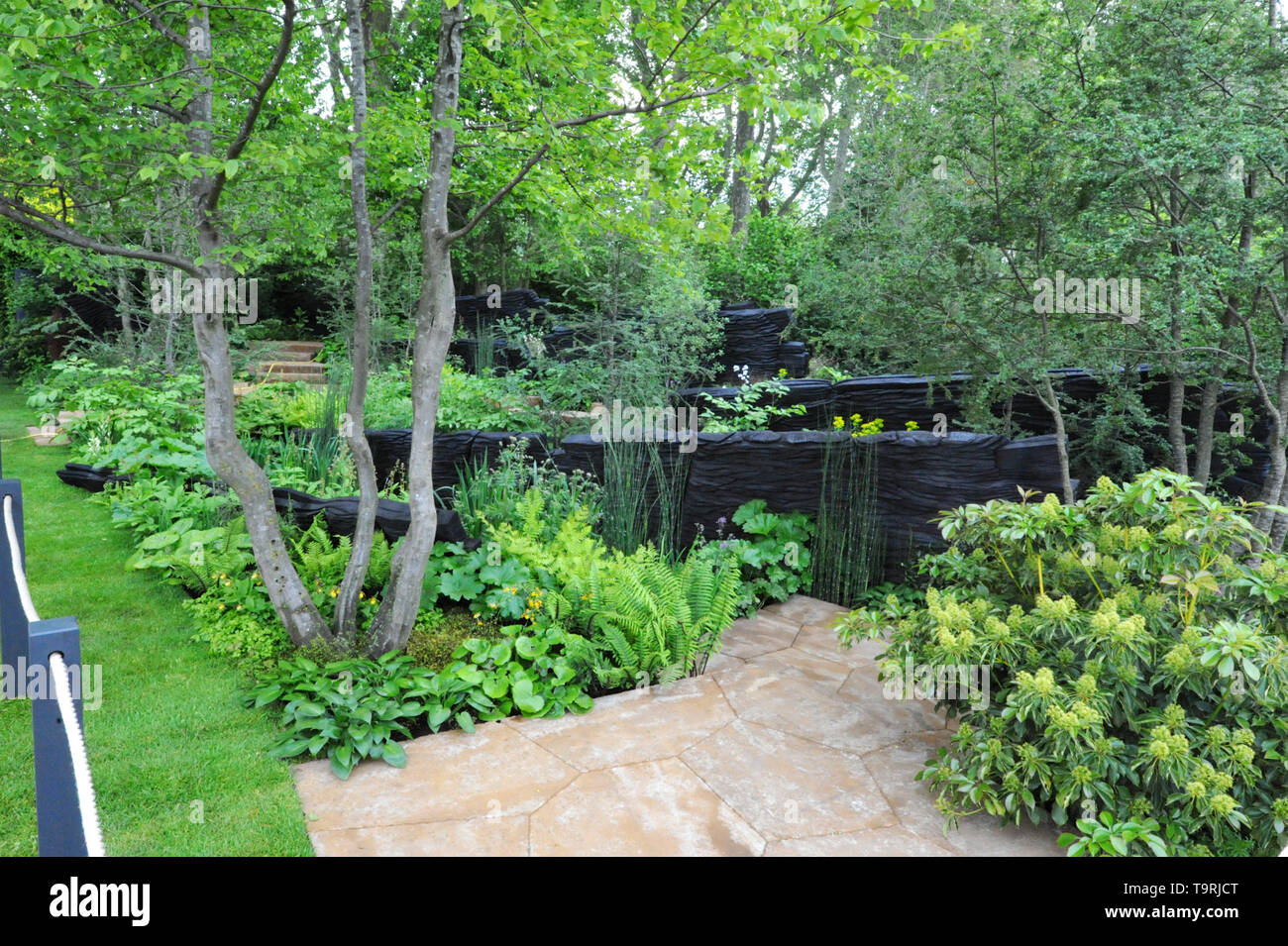 The M&G Garden (designed by Andy Sturgeon), one of the eleven beautiful and elegant show gardens on display at the 2019 RHS Chelsea Flower Show which opened today in the 11-acre grounds of the Royal Hospital Chelsea, London, United Kingdom - 20 May 2019  Celebrating the beauty of nature’s extraordinary power to regenerate and colonise all kinds of landscapes with new growth, The M&G Garden is a vibrantly green and lush environment. It features a biodiverse range of pioneering plant species from around the world – including many unusual plants making their first appearance at Chelsea – all of w Stock Photo