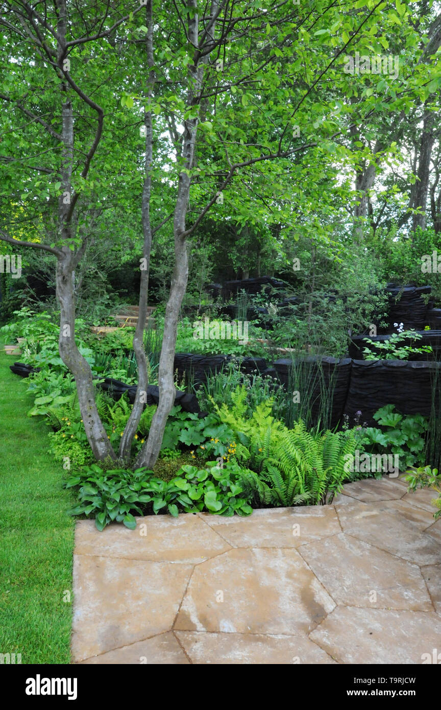 The M&G Garden (designed by Andy Sturgeon), one of the eleven beautiful and elegant show gardens on display at the 2019 RHS Chelsea Flower Show which opened today in the 11-acre grounds of the Royal Hospital Chelsea, London, United Kingdom - 20 May 2019  Celebrating the beauty of nature’s extraordinary power to regenerate and colonise all kinds of landscapes with new growth, The M&G Garden is a vibrantly green and lush environment. It features a biodiverse range of pioneering plant species from around the world – including many unusual plants making their first appearance at Chelsea – all of w Stock Photo