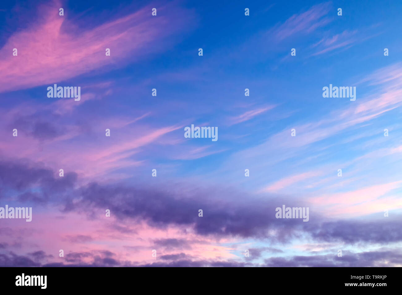 Sunset colorful sky background with pink, purple and blue dramatic ...