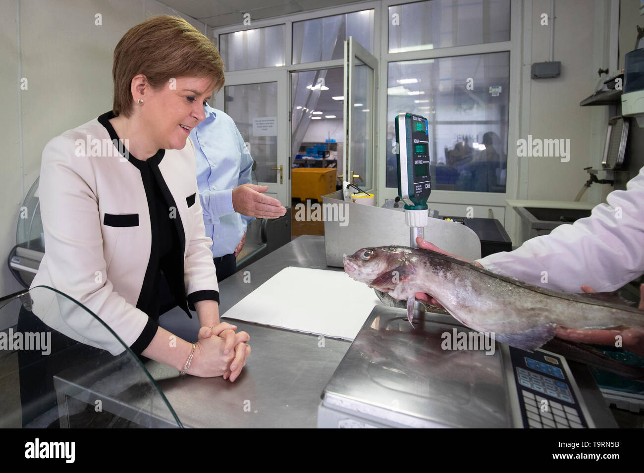 First Minister Nicola Sturgeon during a visit with SNP European election candidate Christian Allard to J Charles Ltd seafood processing plant in Aberdeen. Christian Allard worked at J Charles Ltd for 25 years exporting seafood to the continent, before he entered politics. Stock Photo