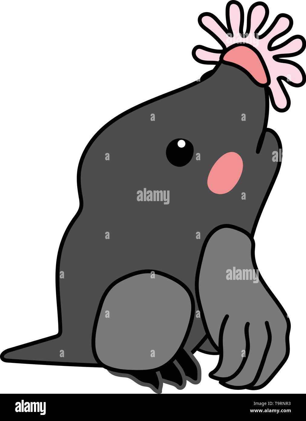 Vector Scandi Cartoon Animal Clip Art Star Nosed Mole Stock Vector Image Art Alamy